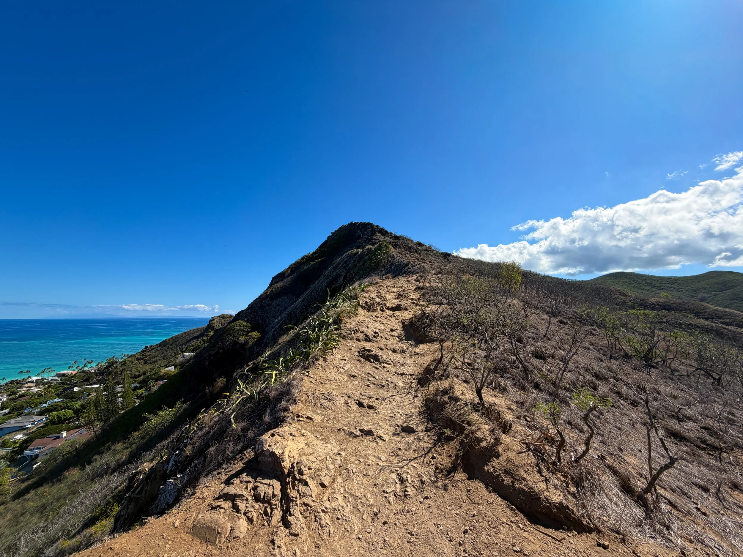 Hiking the Lanikai Pillbox Trail (Kaʻiwa Ridge) on Oʻahu, Hawaiʻi
